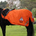 Shires EQUI-FLECTOR Waterproof Exercise Sheet #colour_orange