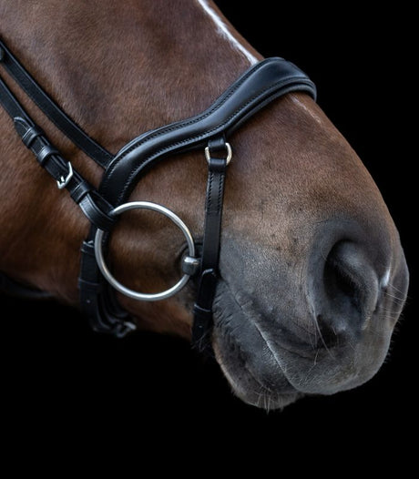 Waldhausen X-Line Bridle New Shape II #colour_black