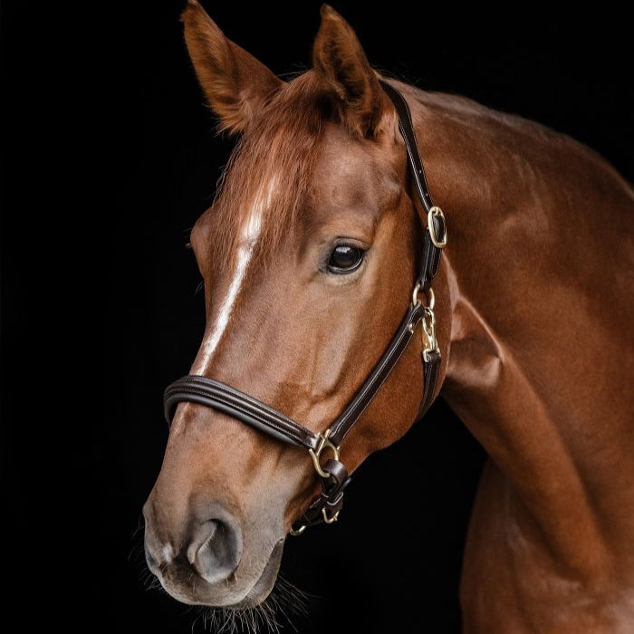 Waldhausen Classy S-Line Halter #colour_brown