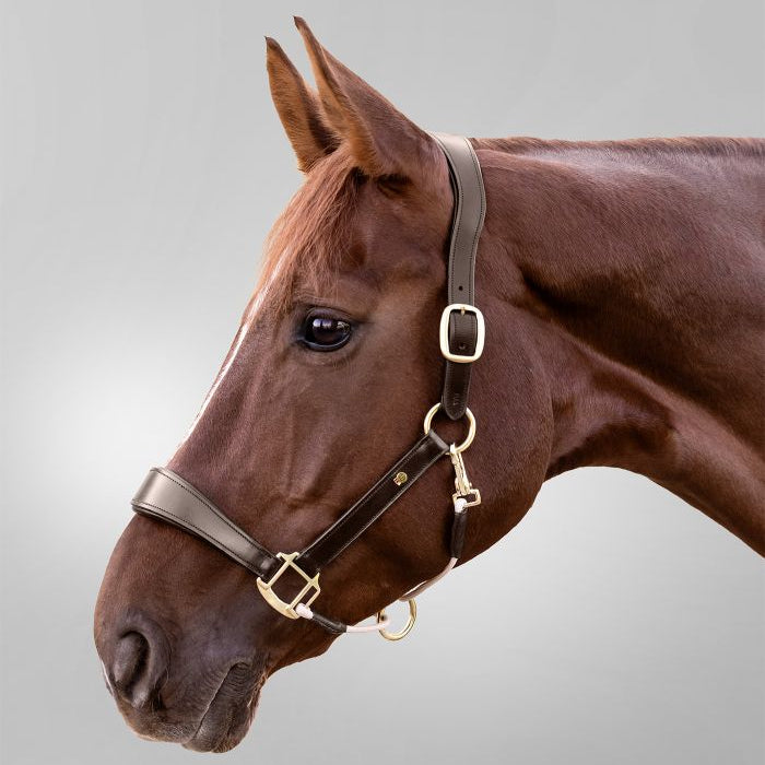 Waldhausen S-Line Royal Leather Halter #colour_brown