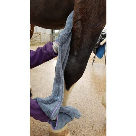 Henry Wag Equine Microfibre Glove Towel