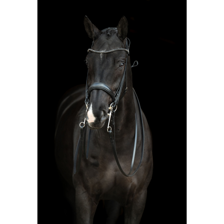 HKM Double Bridle -Grace- #colour_black