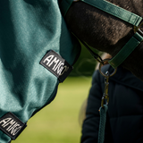 Horseware Ireland Amigo Ripstop 900D Plus 0g Pony Turnout Rug #colour_dynasty-green-navy-silver