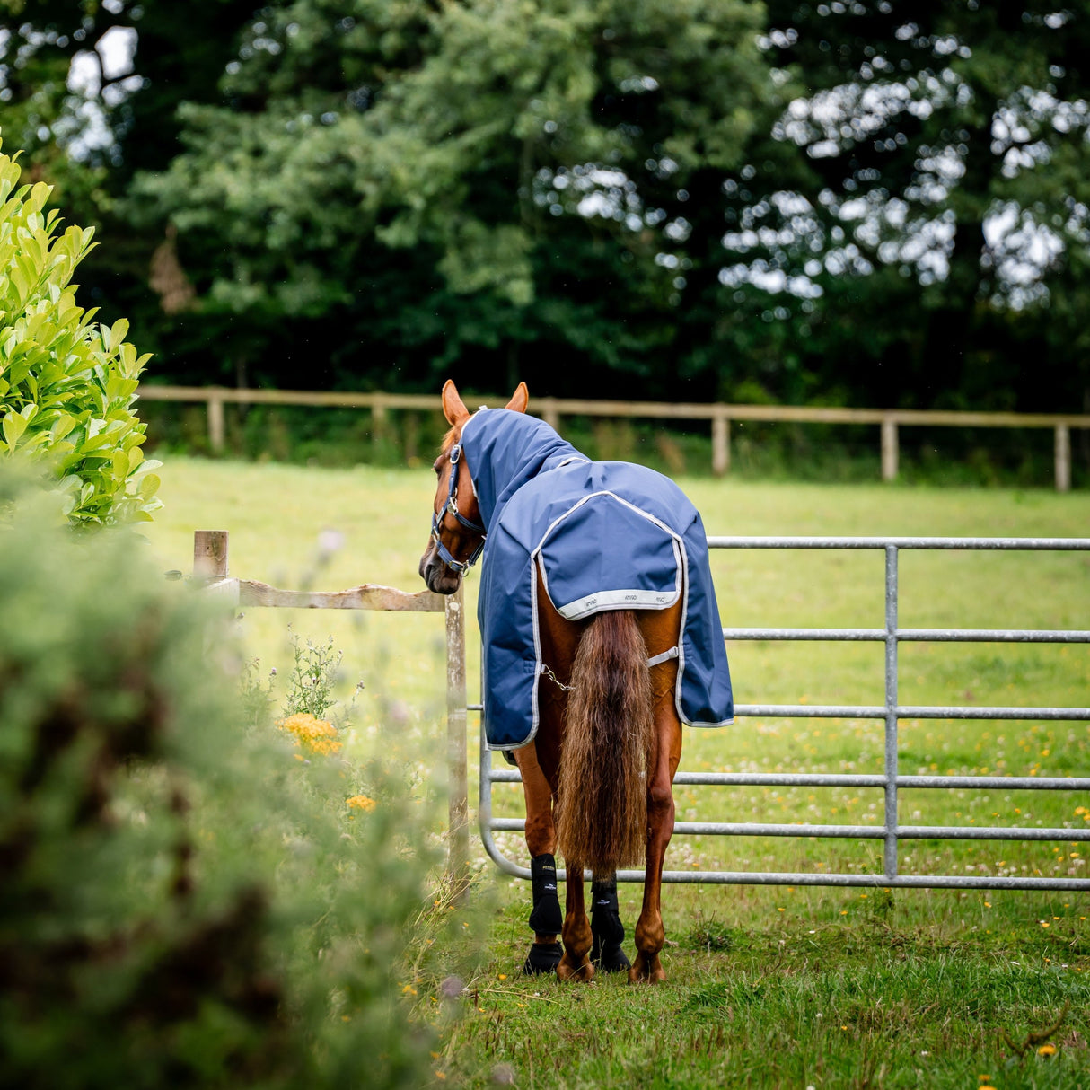 Horseware Ireland Amigo Bravo 12 Plus Bundle V-Front 0g Turnout Rug #colour_navy-titanium-grey-silver