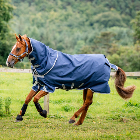 Horseware Ireland Amigo Bravo 12 Plus 250g Medium Turnout Rug #colour_navy-titanium-grey-silver