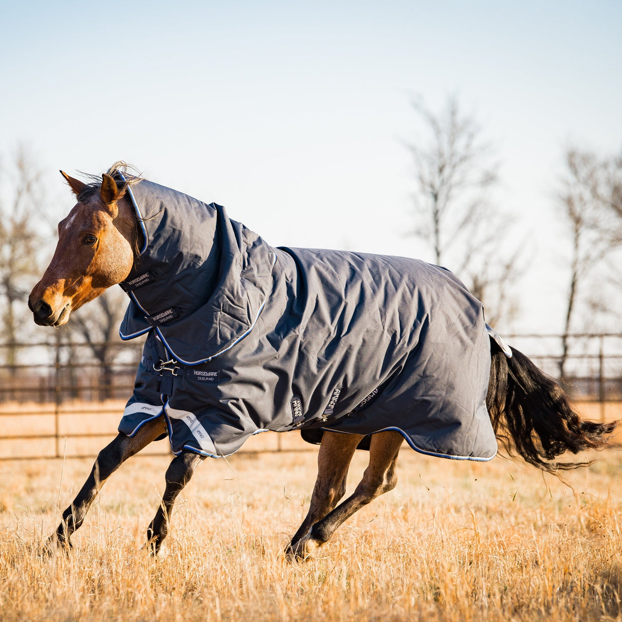 Horseware Ireland Amigo Bravo 12 Plus 400g Heavy Turnout Rug #colour_navy-strong-blue-black