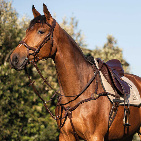 Acavallo Five-Point Breastplate Calfskin #colour_brown