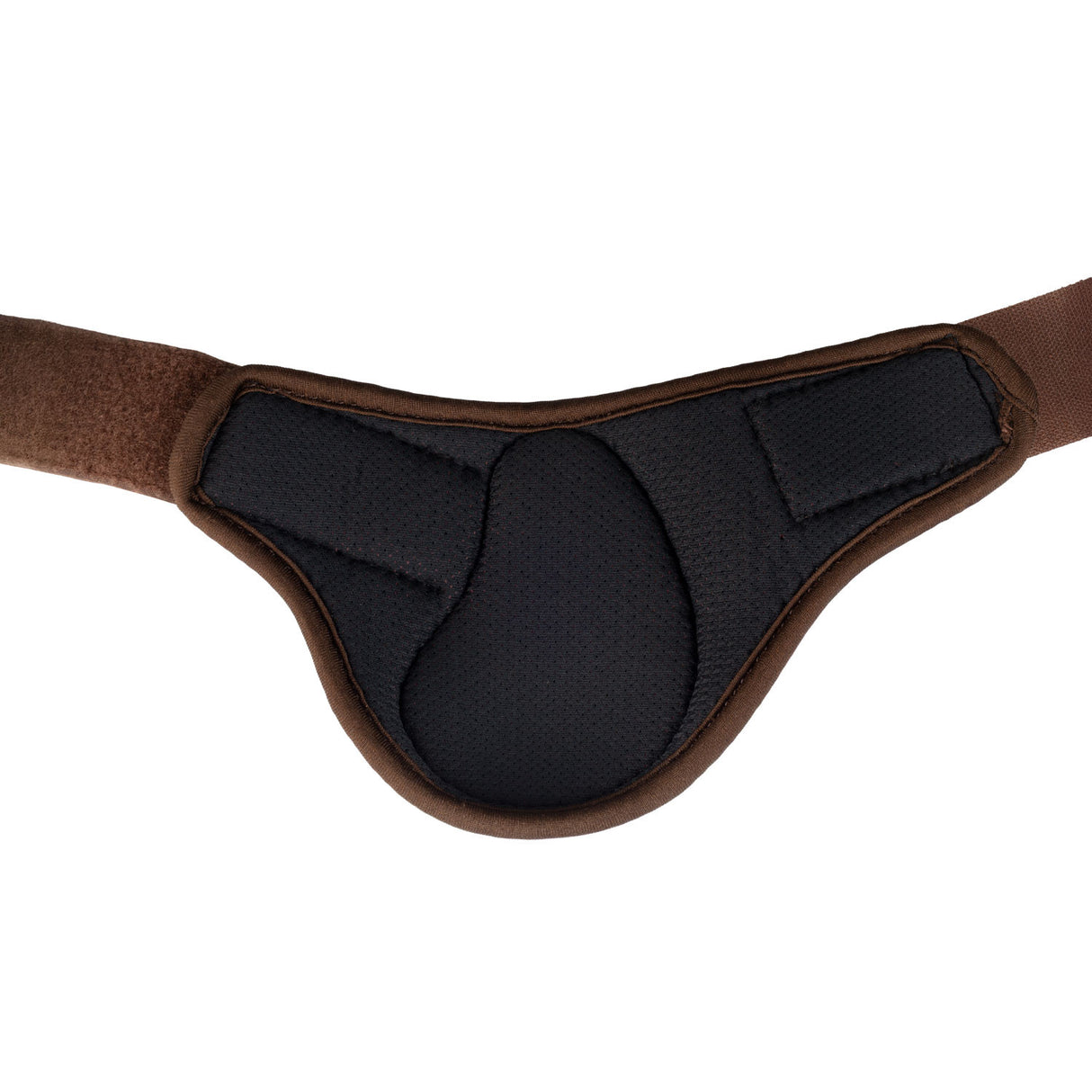 Skeleton Dynamic Zone Fetlock