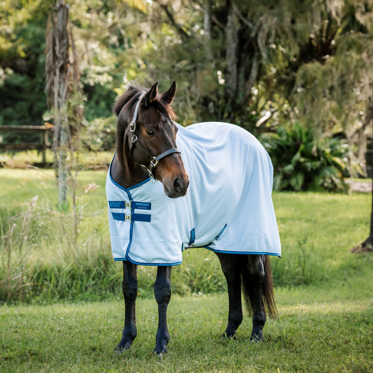 Horseware Ireland Amigo Bug Rug #colour_azure-blue-navy-electric-blue-(new)