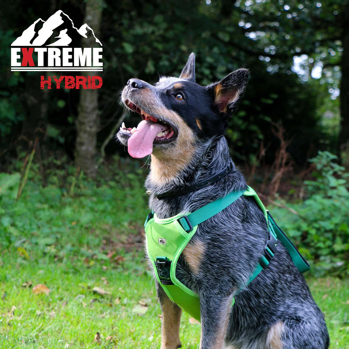 Ancol Extreme Hybrid Harness #colour_green