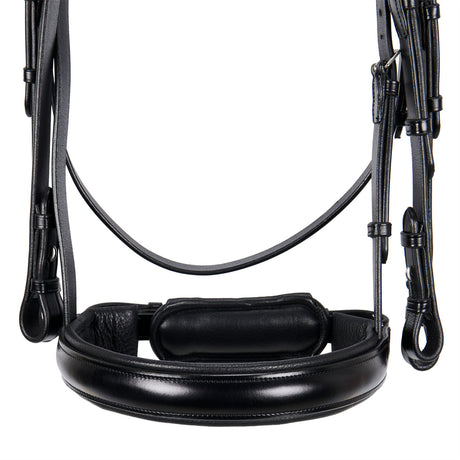 Leather dressage bridle