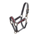 Double adjustment halter