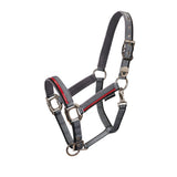 Double adjustment halter