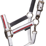 Double adjustment halter