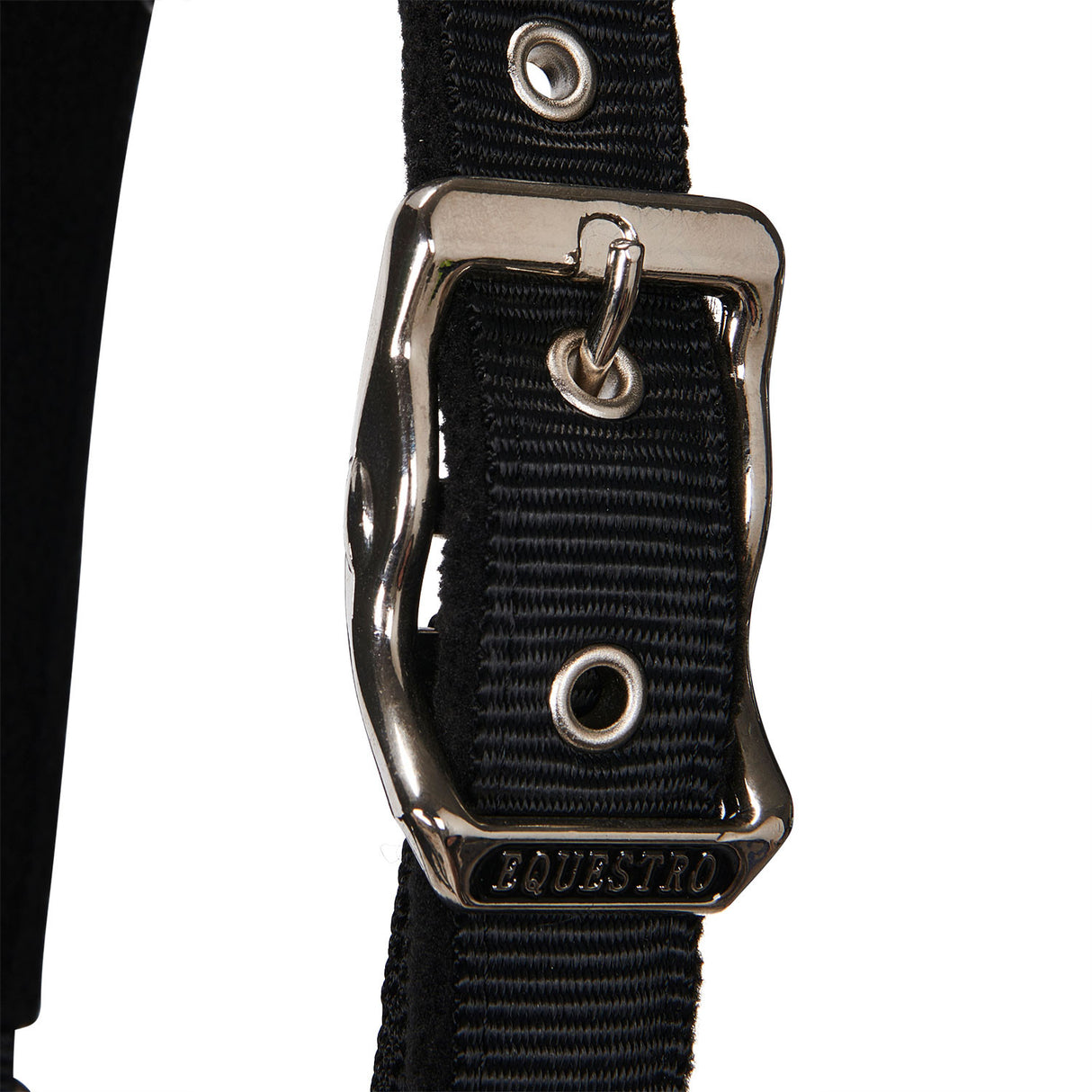 Halter with fleece padding and snap hook