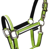 Halter with fleece padding and snap hook