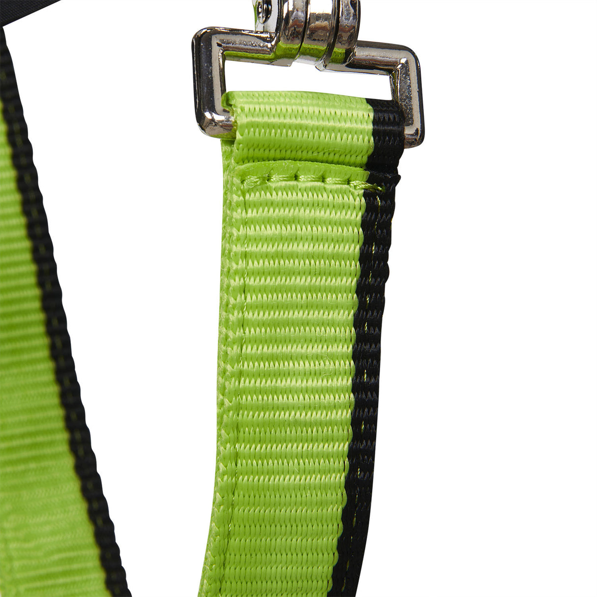 Halter with fleece padding and snap hook