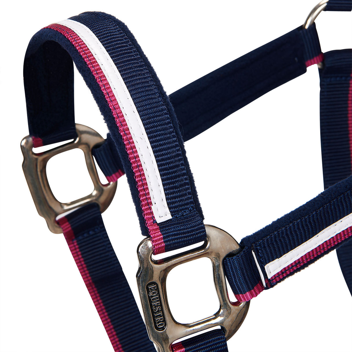 Halter with fleece padding and snap hook