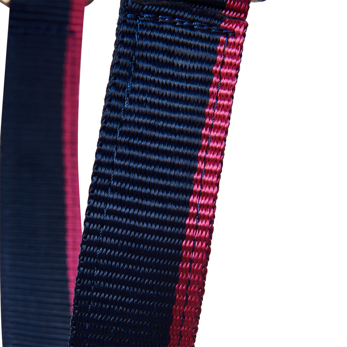 Halter with fleece padding and snap hook