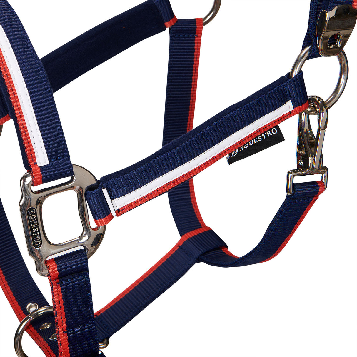 Halter with fleece padding and snap hook