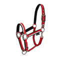 Halter with fleece padding and snap hook