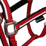 Halter with fleece padding and snap hook