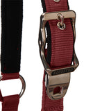 Padded double adjustment headcollar