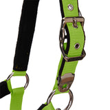 Padded double adjustment headcollar