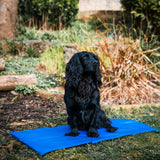 Danish Design Pet Cooling Mattress