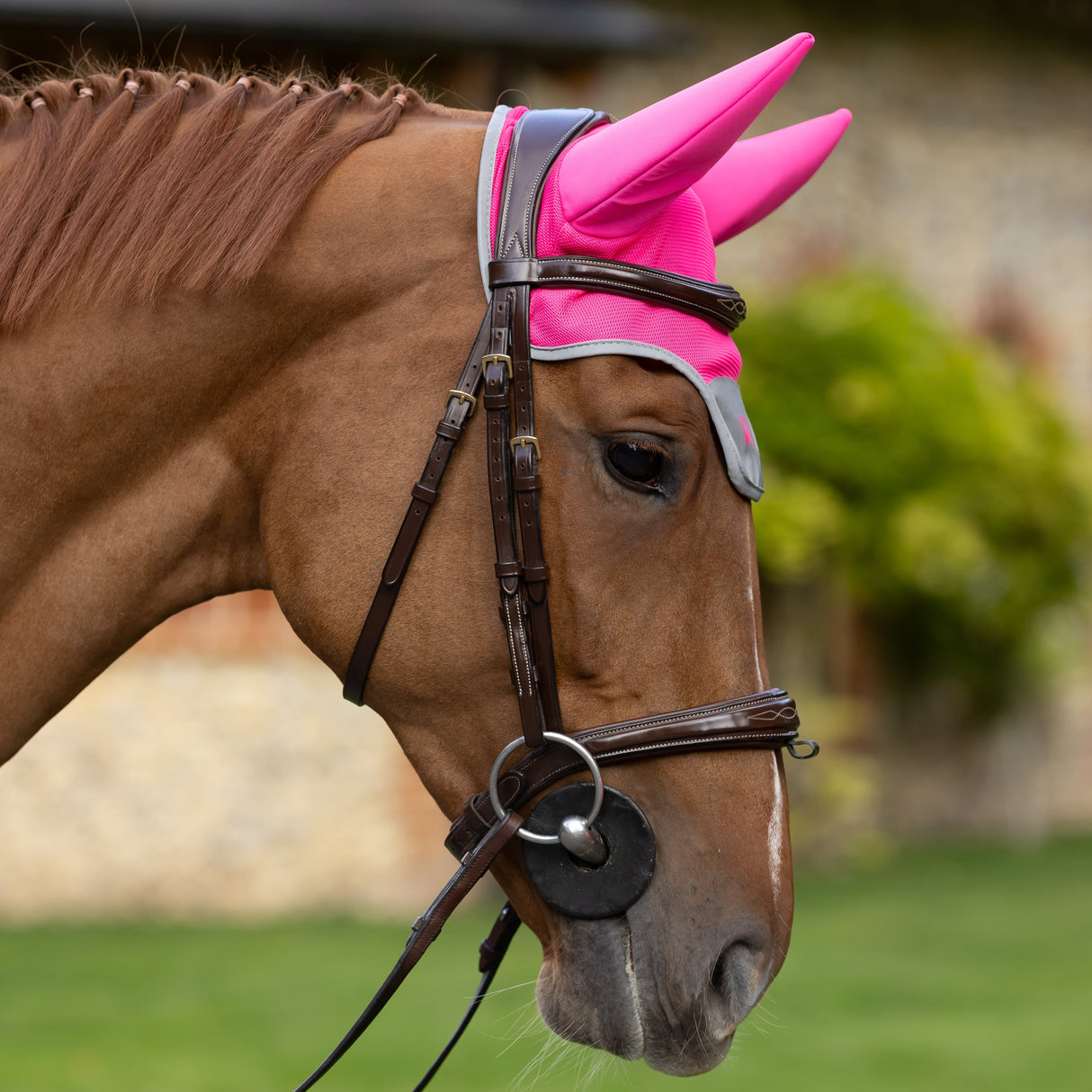 Woof Wear Hi Vis Noise Cancelling Fly Veil #colour_hi-vis-pink