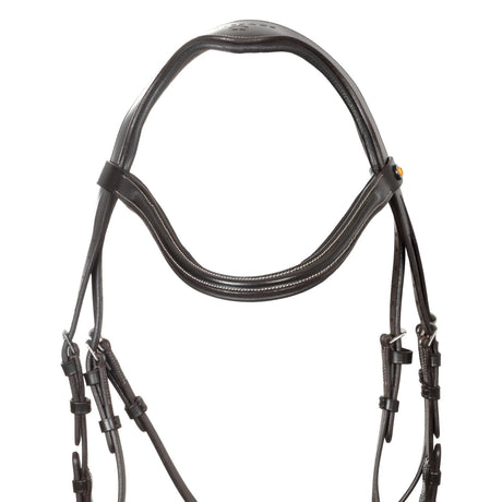 Anatomical bridle with curved noseband