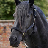 Firefoot Field Safe Adjustable Headcollar Black/silver