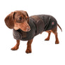 Manteau de teckel ciré Firefoot