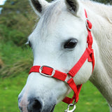 Gallop Headcollar & Lead Rope Set
