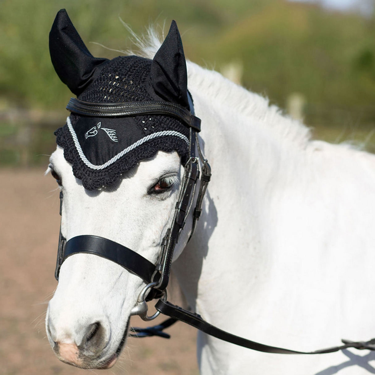 Gallop Classic Fly Veil #colour_black