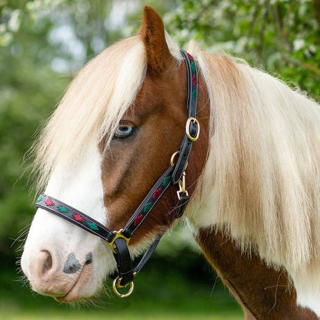 Gallop Premium Padded Leather Headcollar #colour_burgundy-green
