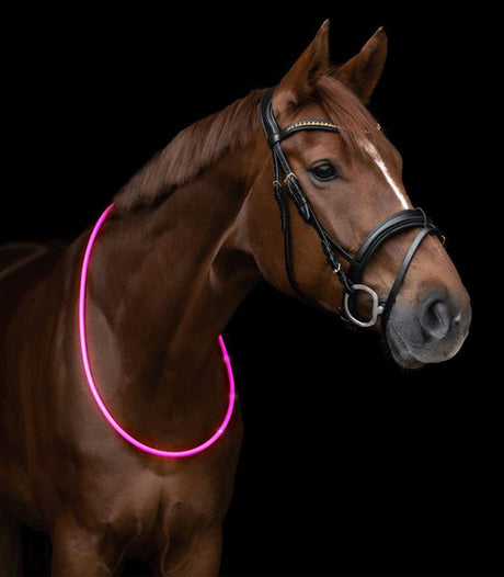 Waldhasuen LED Neck Strap #colour_pink