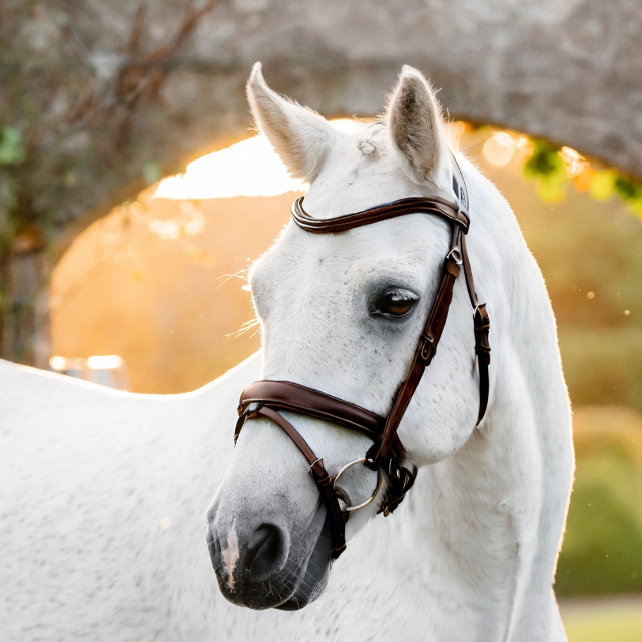 Horseware Ireland Pony Flash Bridle #colour_brown