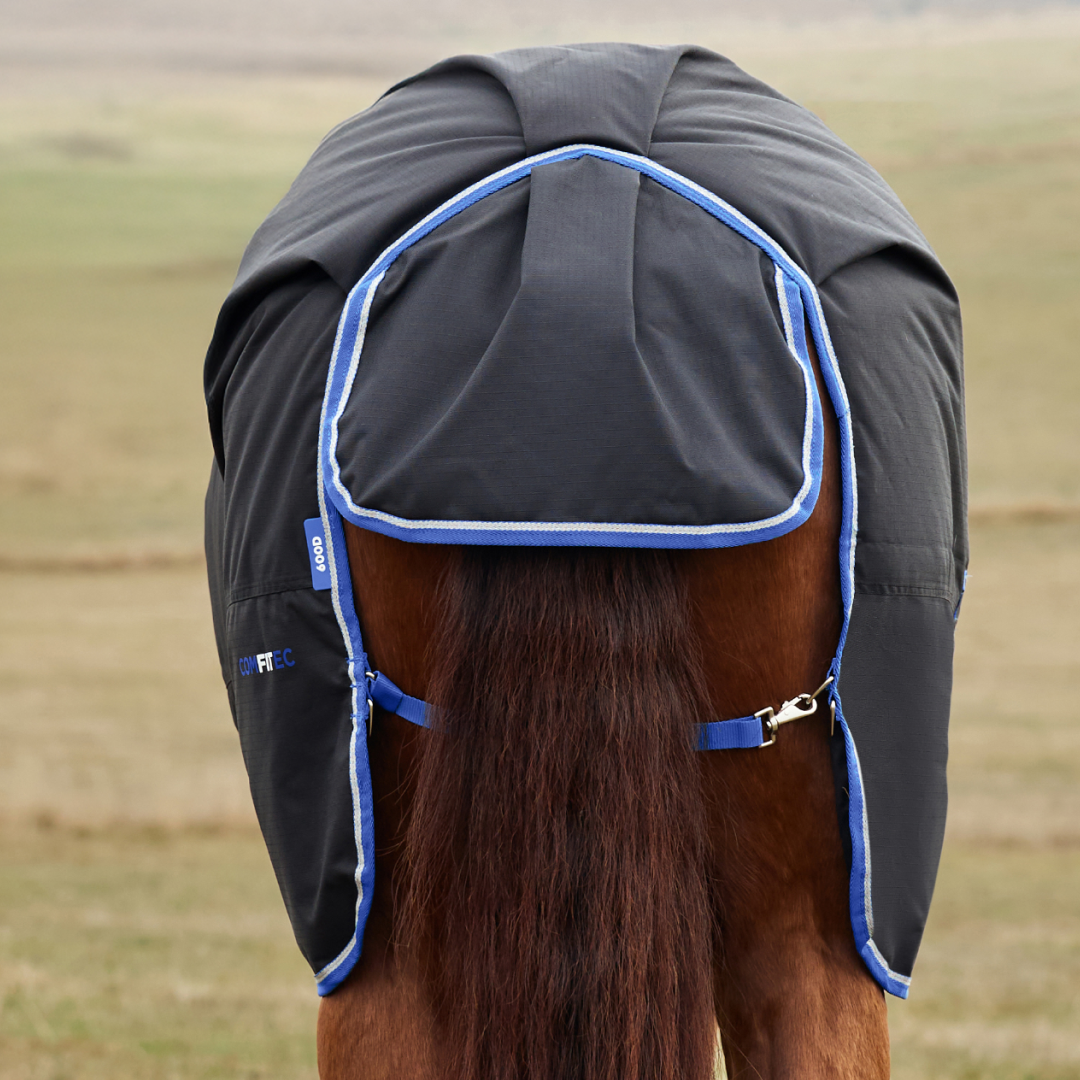 Weatherbeeta Comfitec Tyro 220G Standard Neck Turnout #colour_black-cobalt