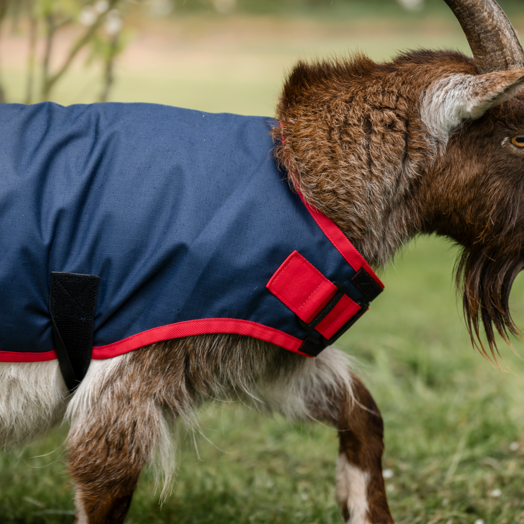 Horseware Ireland 200g Goat Coat