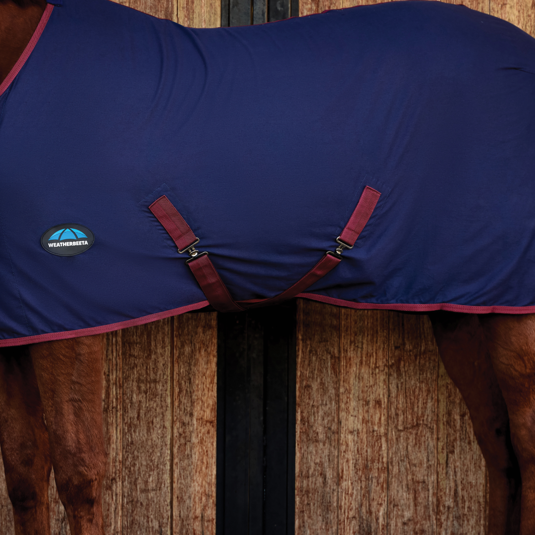 Weatherbeeta Cotton Sheet Standard Neck #colour_navy-burgundy