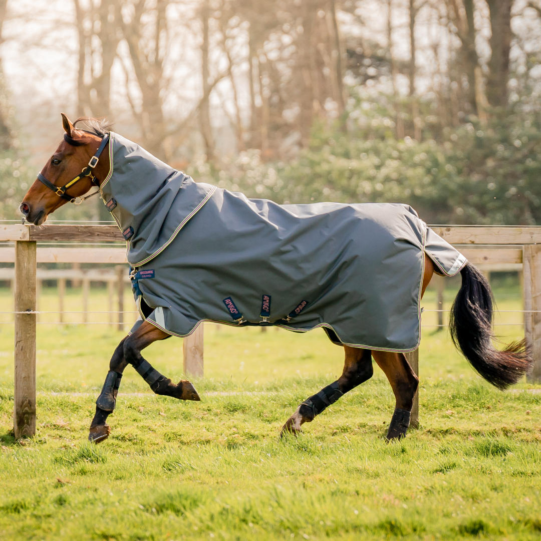 Horseware Ireland Amigo Bravo 12 Plus Bundle V-Front 50g Turnout Rug #colour_dark-shadow-navy-rose