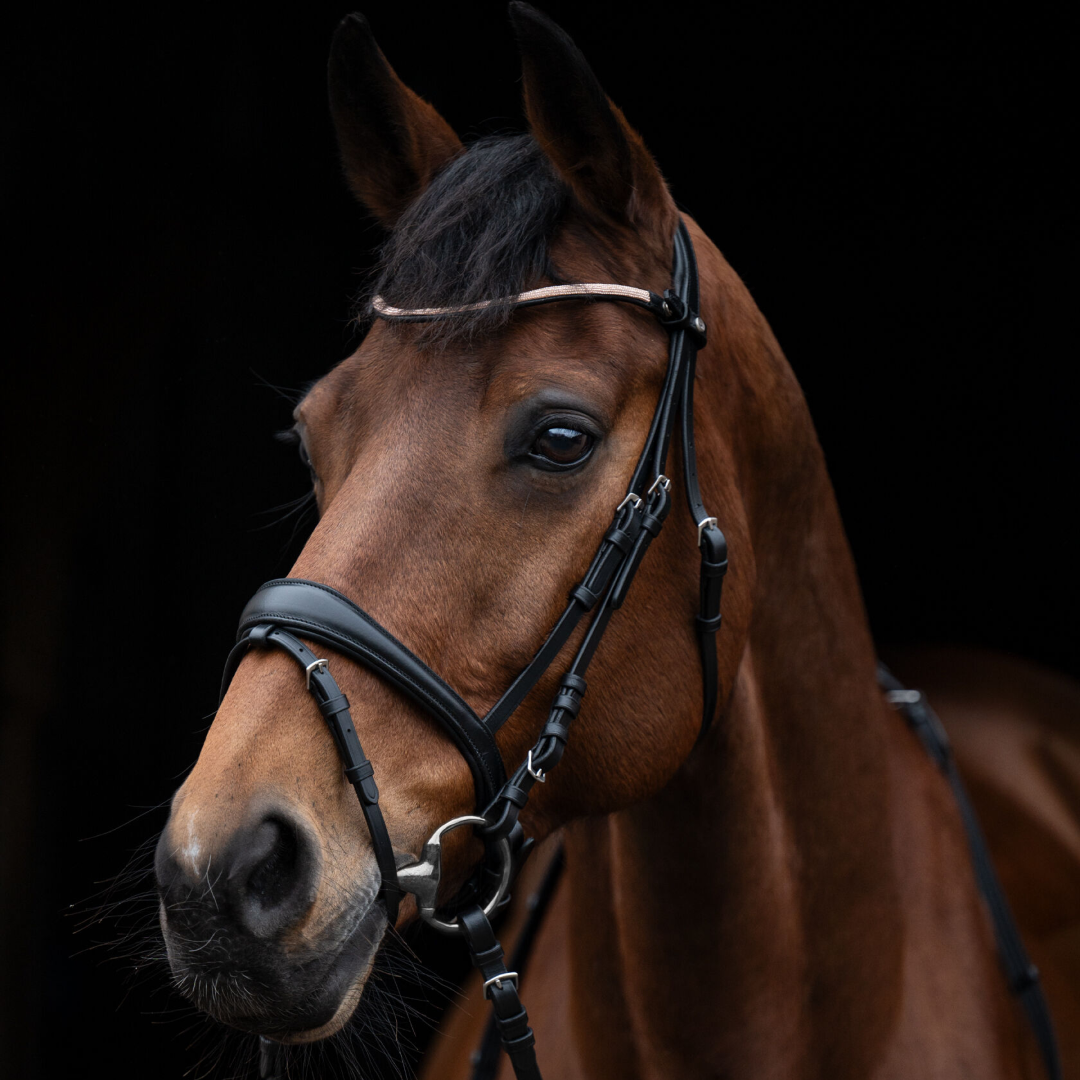 HKM Bridle -Kopenhagen-