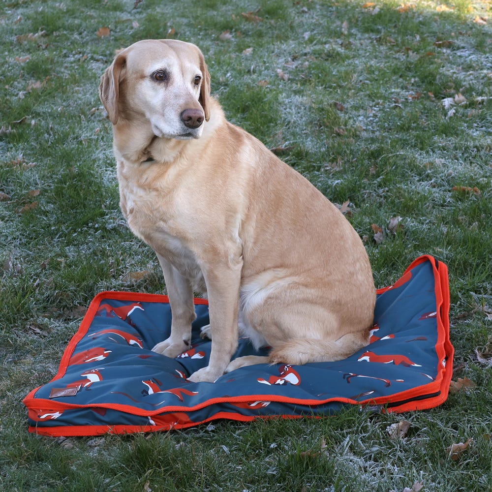 Benji & Flo Frivolous Fox Dog Bed #colour_green-red-pumpkin