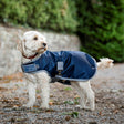 Horseware Ireland Ionic 50g Therapy Dog Coat #colour_imperial-blue-silver-navy