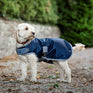 Horseware Ireland Ionic 50g Therapy Dog Coat #colour_imperial-blue-silver-navy