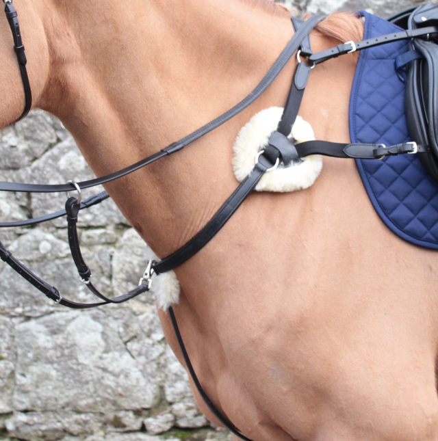 Mackey Classic 5-Point Breastplate #colour_black