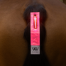 Woof Wear LED Hi Vis Tail Light #colour_hi-viz-pink