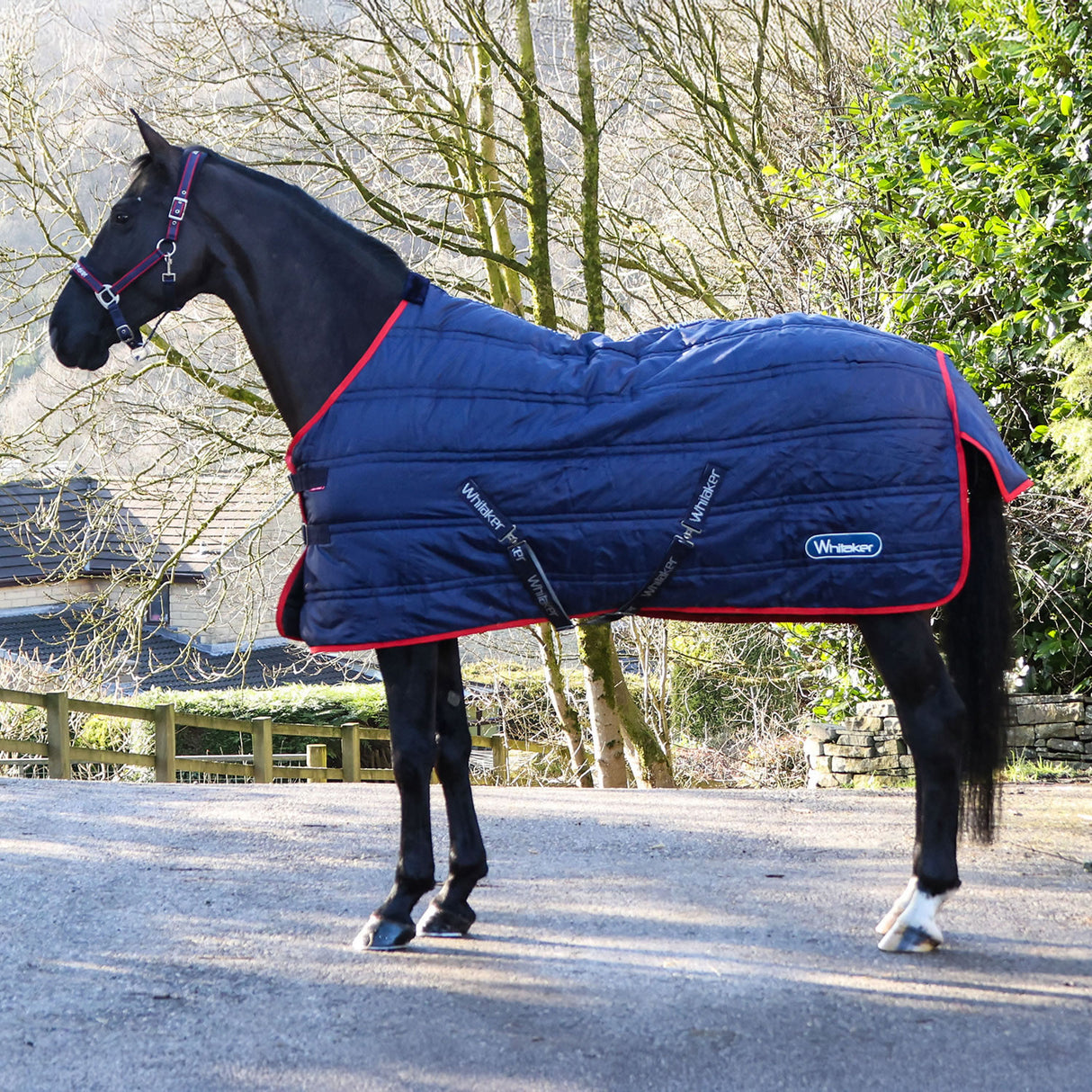 Whitaker Rastrick V2 100g Stable Rug