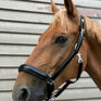 Norton Pro Anatomical Head Collar #colour_black